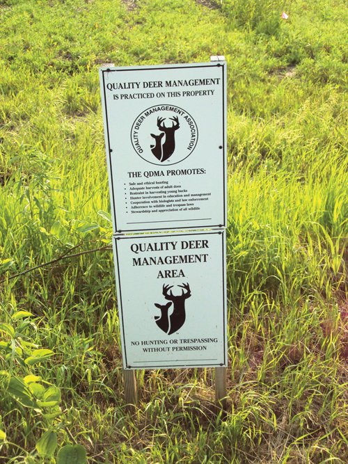 Property photo 6 - 114+/- Acres Offered in 4 Tracts